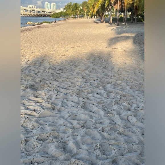 Meet your Posher, Priscilla rosa - Picture 4 of 11